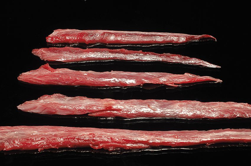 Tiradito