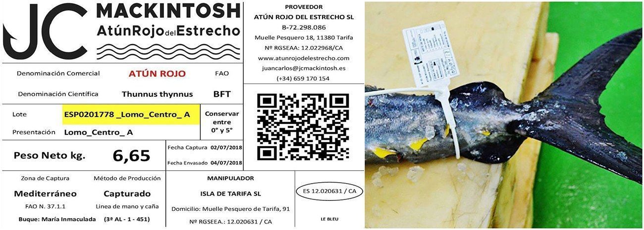 Trazabilidad del atún rojo Trazabilidad del atún rojo